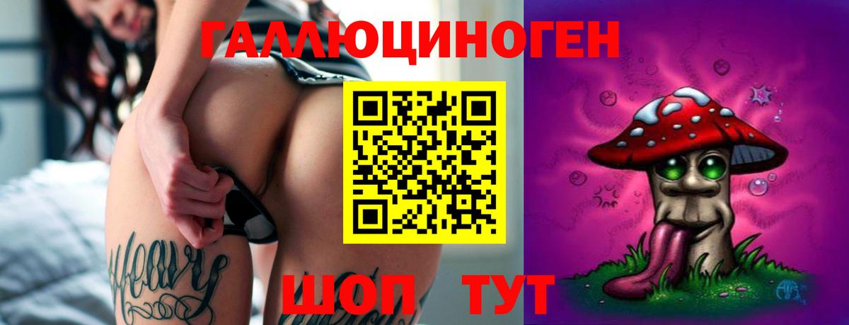 Псилоцибиновые грибы Cubensis  Вход с VPN  Камень-на-Оби  Псилоцибиновые грибы мухоморы 